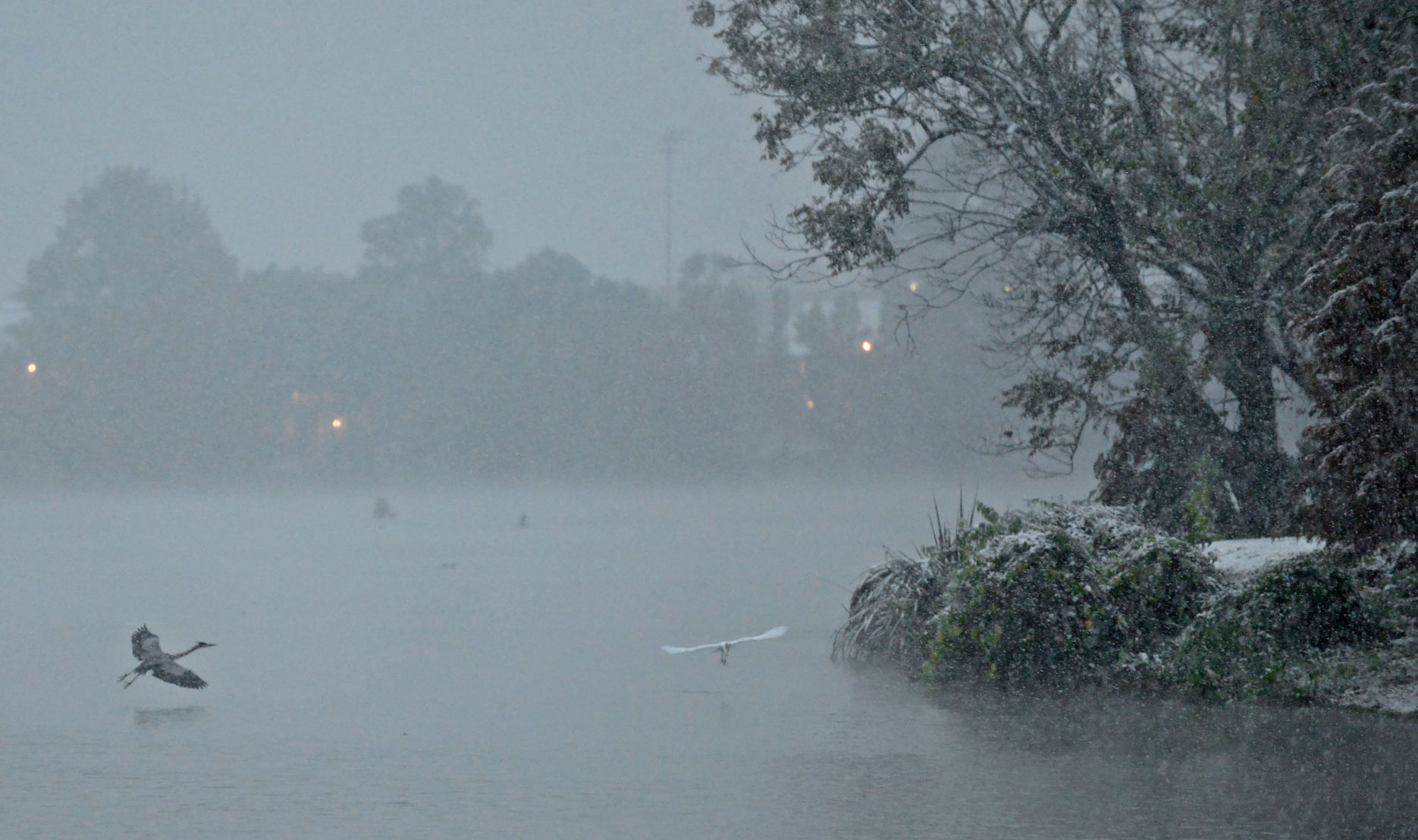 BR.snow.120917 HS 089.JPG